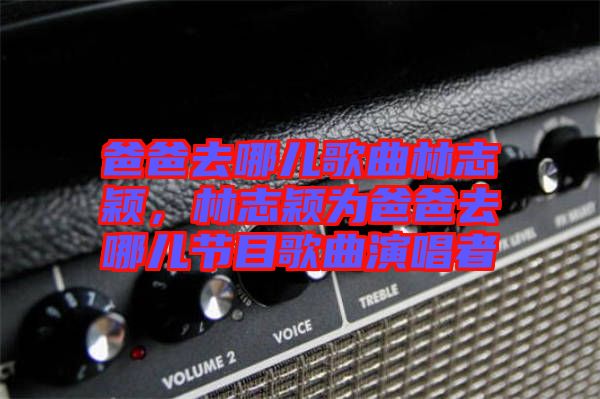 爸爸去哪兒歌曲林志穎,林志穎為爸爸去哪兒節目歌曲演唱者