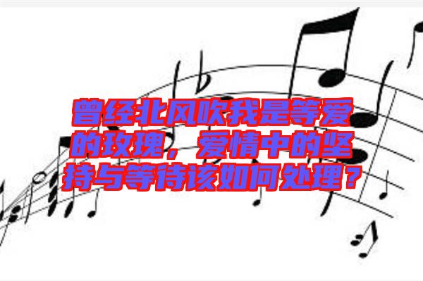 曾經北風吹我是等愛的玫瑰,愛情中的堅持與等待該如何處理?