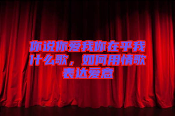 你說(shuō)你愛(ài)我你在乎我什么歌,如何用情歌表達(dá)愛(ài)意