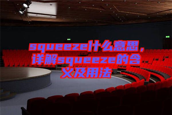 squeeze什么意思,詳解squeeze的含義及用法