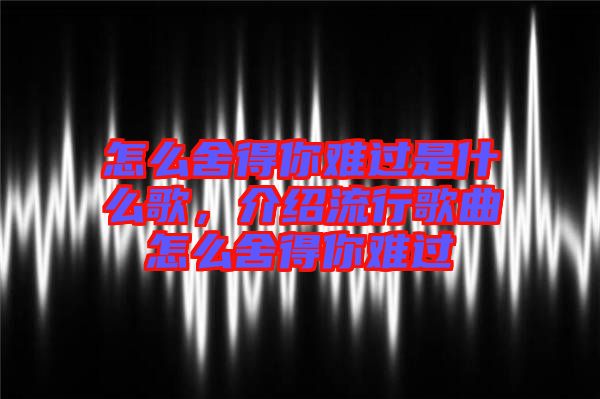 怎么舍得你難過是什么歌,介紹流行歌曲怎么舍得你難過