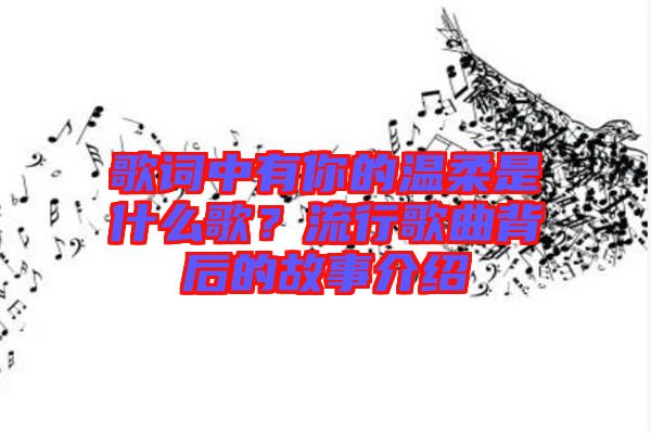 歌詞中有你的溫柔是什么歌？流行歌曲背后的故事介紹