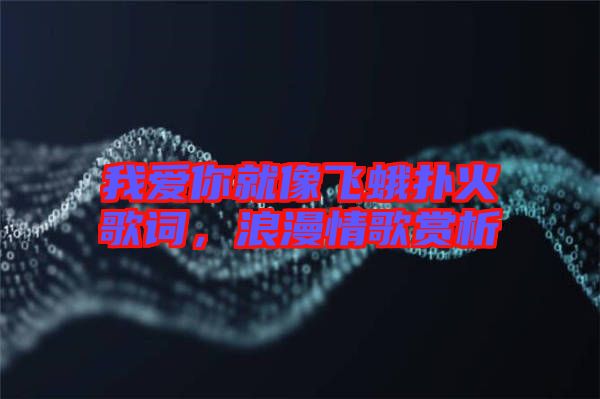 我愛你就像飛蛾撲火歌詞，浪漫情歌賞析