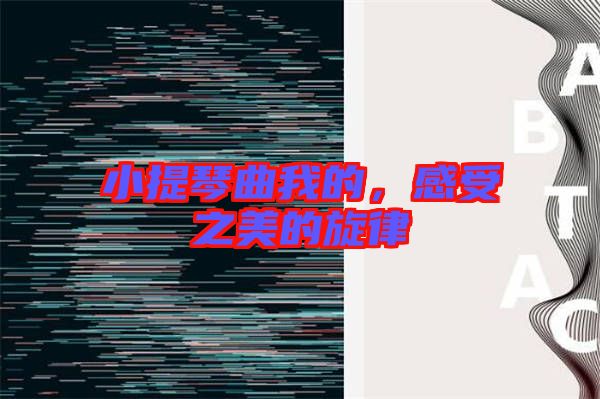 小提琴曲我的,感受之美的旋律