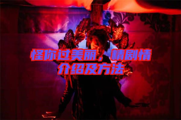 怪你過美麗,精劇情介紹及方法