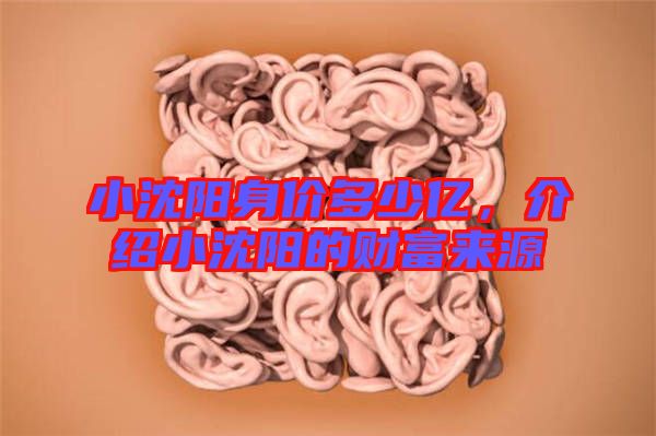 小沈陽身價多少億,介紹小沈陽的財富來源
