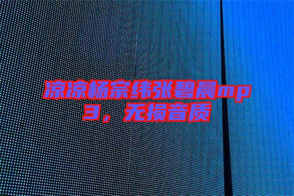 涼涼楊宗緯張碧晨mp3,無損音質