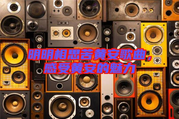 明明相思苦黃安歌曲,感受黃安的魅力
