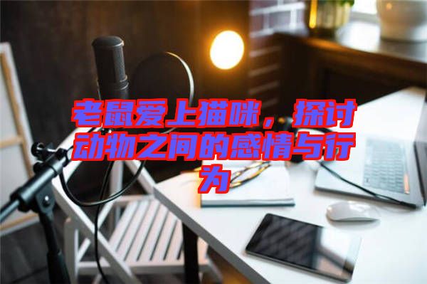 老鼠愛上貓咪,探討動物之間的感情與行為