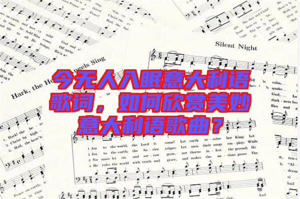 今無人入眠意大利語歌詞,如何欣賞美妙意大利語歌曲?