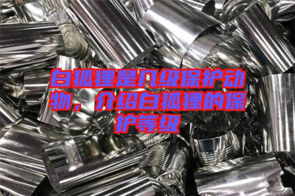 白狐貍是幾級保護(hù)動物,介紹白狐貍的保護(hù)等級