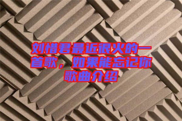 劉惜君最近很火的一首歌，如果能忘記你歌曲介紹