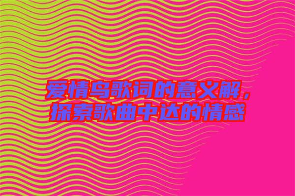 愛情鳥歌詞的意義解,探索歌曲中達的情感