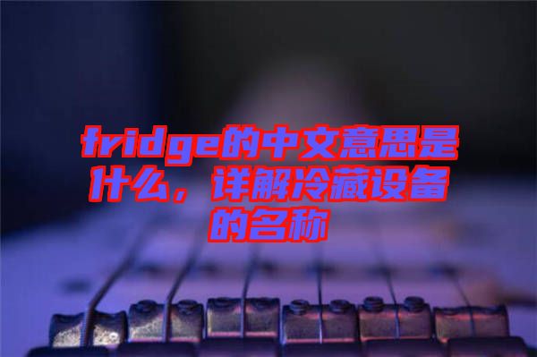 fridge的中文意思是什么,詳解冷藏設(shè)備的名稱