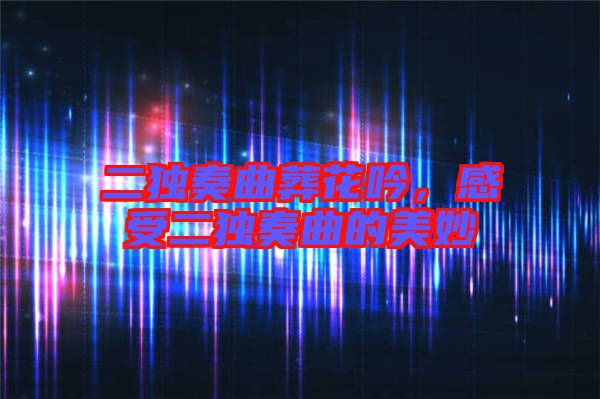 二獨(dú)奏曲葬花吟,感受二獨(dú)奏曲的美妙