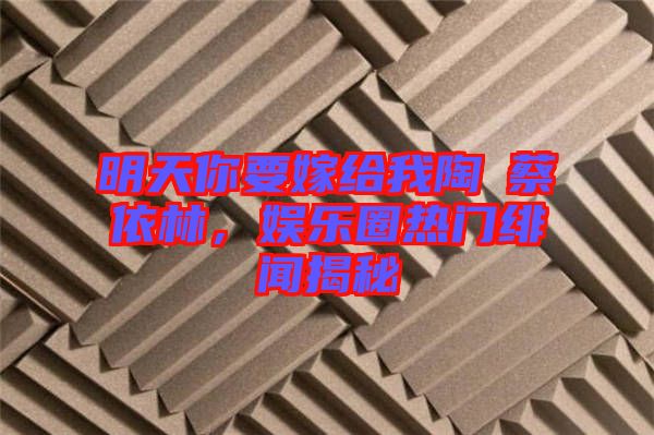 明天你要嫁給我陶喆蔡依林,娛樂圈熱門緋聞揭秘