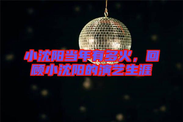 小沈陽當年有多火,回顧小沈陽的演藝生涯