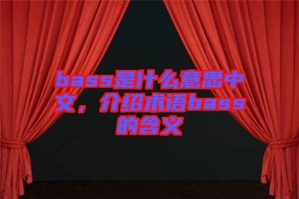 bass是什么意思中文,介紹術(shù)語bass的含義