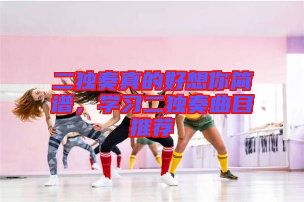 二獨(dú)奏真的好想你簡(jiǎn)譜,學(xué)習(xí)二獨(dú)奏曲目推薦