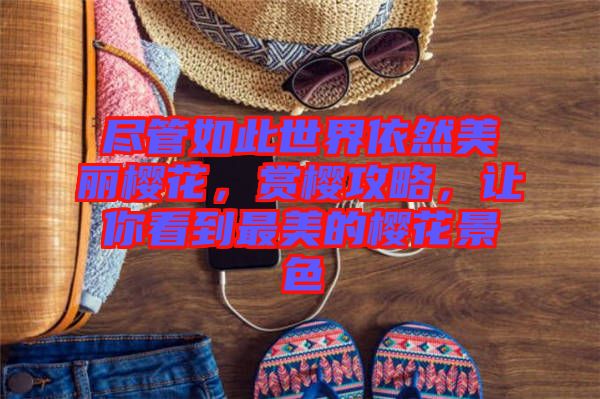 盡管如此世界依然美麗櫻花,賞櫻攻略,讓你看到最美的櫻花景色