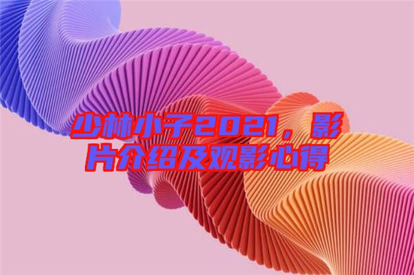 少林小子2021，影片介紹及觀影心得