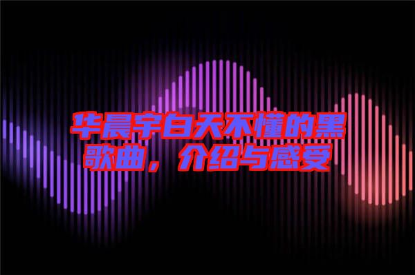 華晨宇白天不懂的黑歌曲，介紹與感受