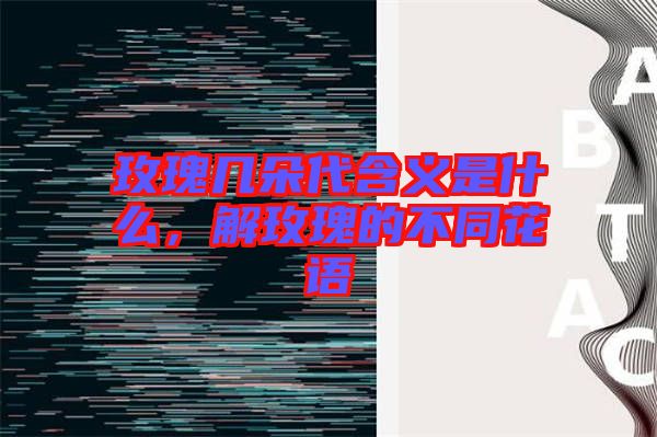 玫瑰幾朵代含義是什么,解玫瑰的不同花語