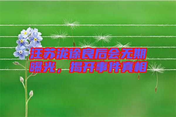 汪蘇瀧徐良后會無期曝光,揭開事件真相