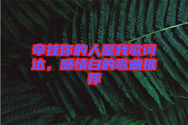 牽掛你的人是我歌詞達，感情白的歌曲推薦