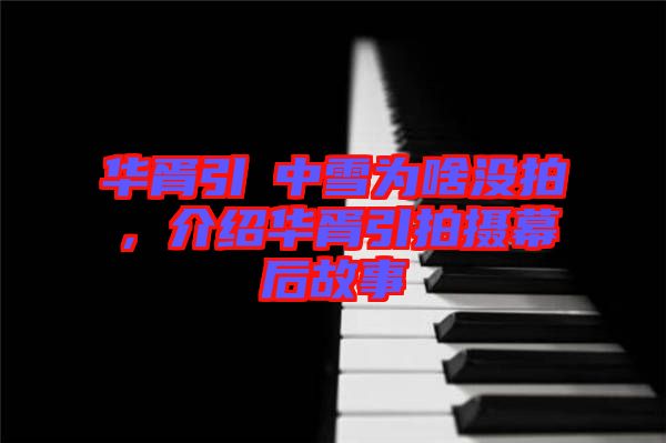 華胥引柸中雪為啥沒拍,介紹華胥引拍攝幕后故事