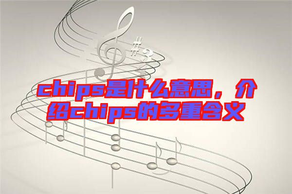 chips是什么意思，介紹chips的多重含義