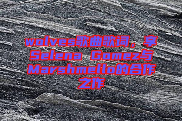 wolves歌曲歌詞,享Selena Gomez與Marshmello的合作之作