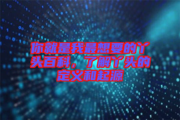 你就是我最想要的丫頭百科，了解丫頭的定義和起源