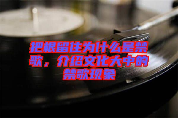 把根留住為什么是禁歌，介紹文化大中的禁歌現象