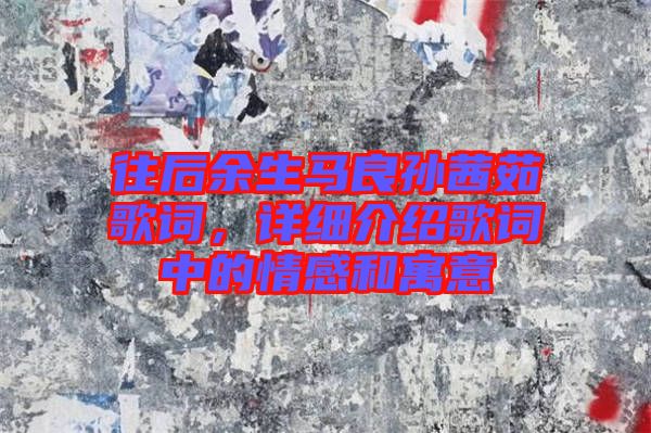 往后余生馬良孫茜茹歌詞,詳細介紹歌詞中的情感和寓意