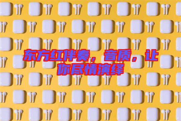 東方紅伴奏,音質,讓你盡情演繹