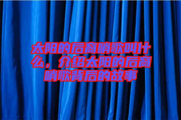 太陽(yáng)的后裔哨歌叫什么,介紹太陽(yáng)的后裔哨歌背后的故事