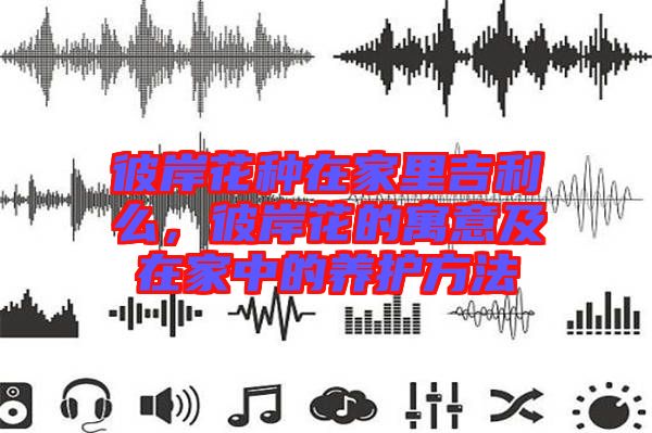 彼岸花種在家里吉利么,彼岸花的寓意及在家中的養護方法