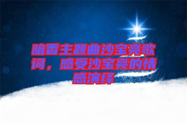 暗香主題曲沙寶亮歌詞,感受沙寶亮的情感演繹