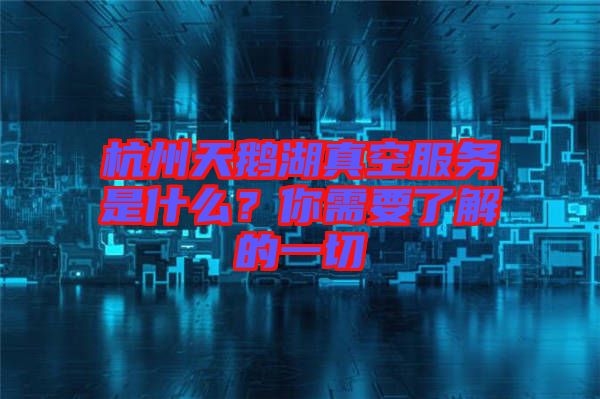 杭州天鵝湖真空服務(wù)是什么?你需要了解的一切