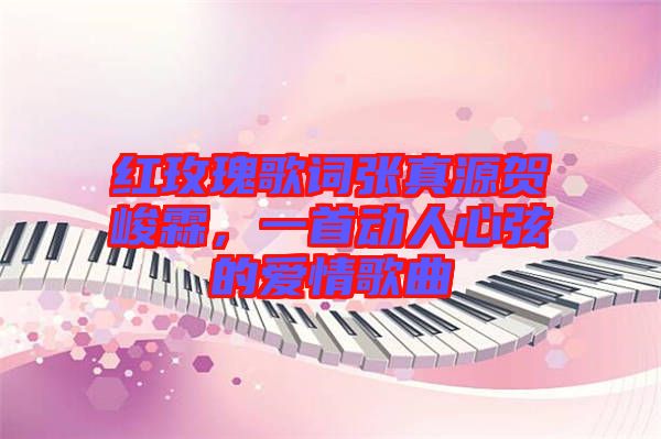紅玫瑰歌詞張真源賀峻霖,一首動人心弦的愛情歌曲