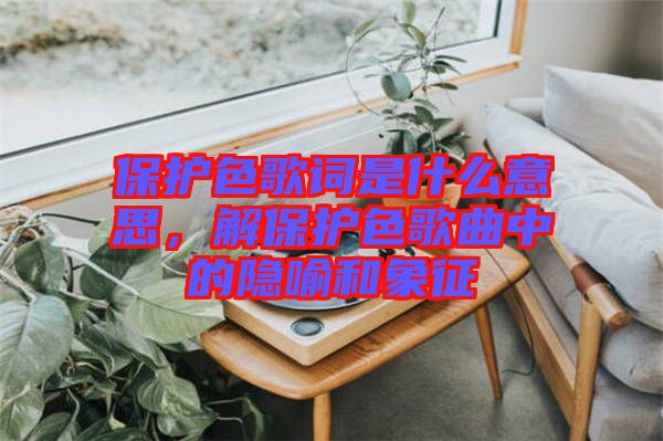 保護色歌詞是什么意思，解保護色歌曲中的隱喻和象征