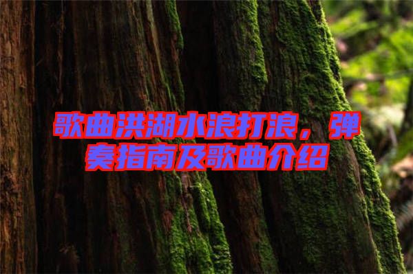 歌曲洪湖水浪打浪,彈奏指南及歌曲介紹