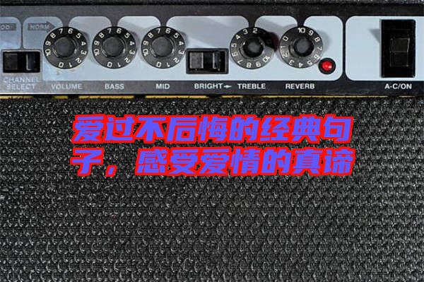 愛過不后悔的經(jīng)典句子,感受愛情的真諦