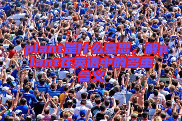 plant是什么意思,解plant在英語(yǔ)中的多重含義