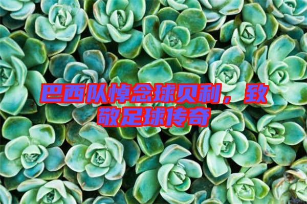 巴西隊(duì)悼念球貝利,致敬足球傳奇