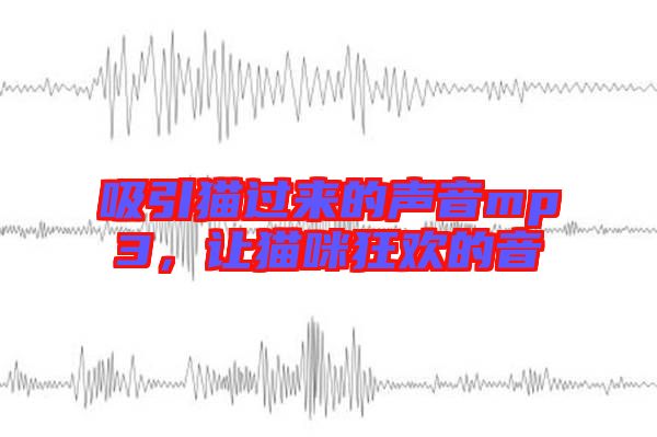 吸引貓過來的聲音mp3，讓貓咪狂歡的音