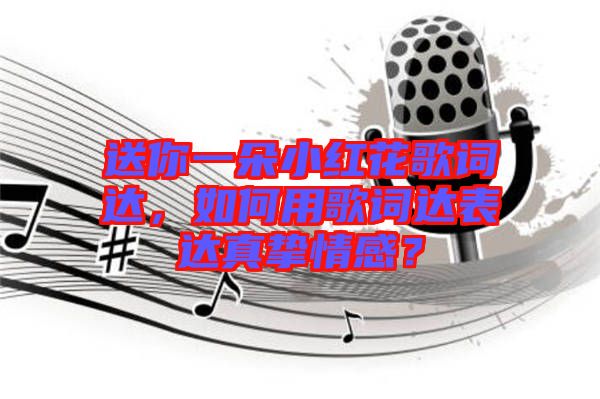 送你一朵小紅花歌詞達，如何用歌詞達表達真摯情感？