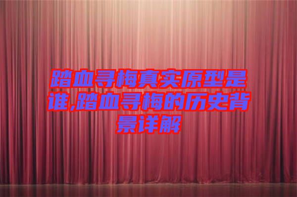 踏血尋梅真實(shí)原型是誰(shuí),踏血尋梅的歷史背景詳解