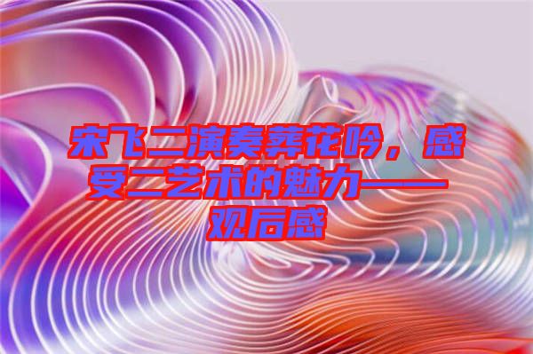 宋飛二演奏葬花吟，感受二藝術的魅力——觀后感